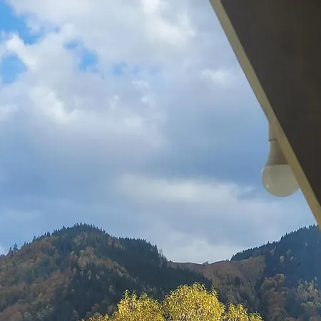 A Frame House Kryvorivnia 2