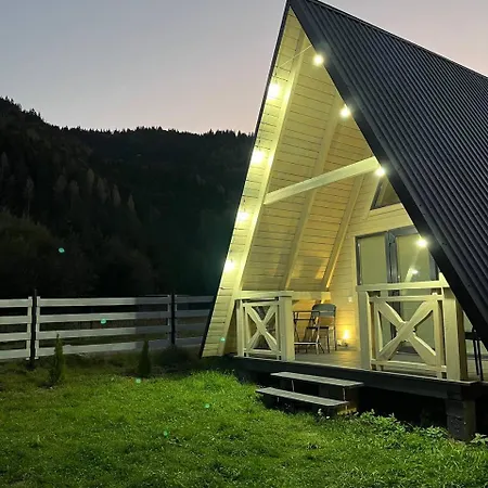 A Frame House Kryvorivnia 2 *